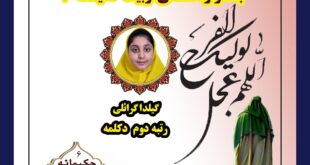 رتبه برتر استانی جشنواره حکیمانه ۶